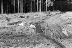 Lauscha002
