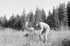 Lauscha008