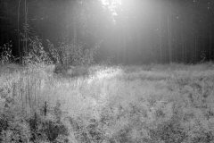 Lauscha018