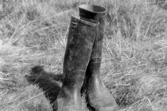 Lauscha035