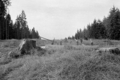 Lauscha037
