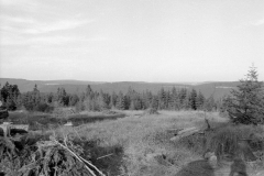 Lauscha044