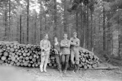 Lauscha070
