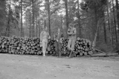 Lauscha072