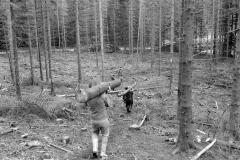 Lauscha078