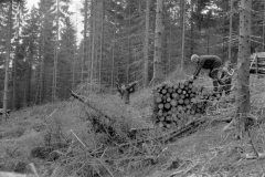 Lauscha085