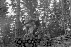 Lauscha092